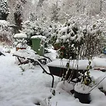 Konukevi Holly