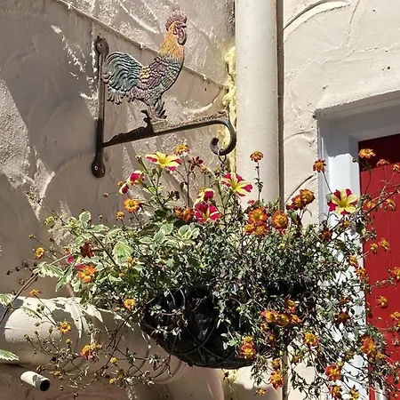 Guest house Holly 2*