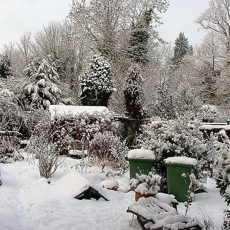 Holly Bowness-on-Windermere