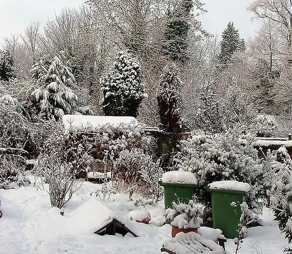 Holly Bowness-on-Windermere